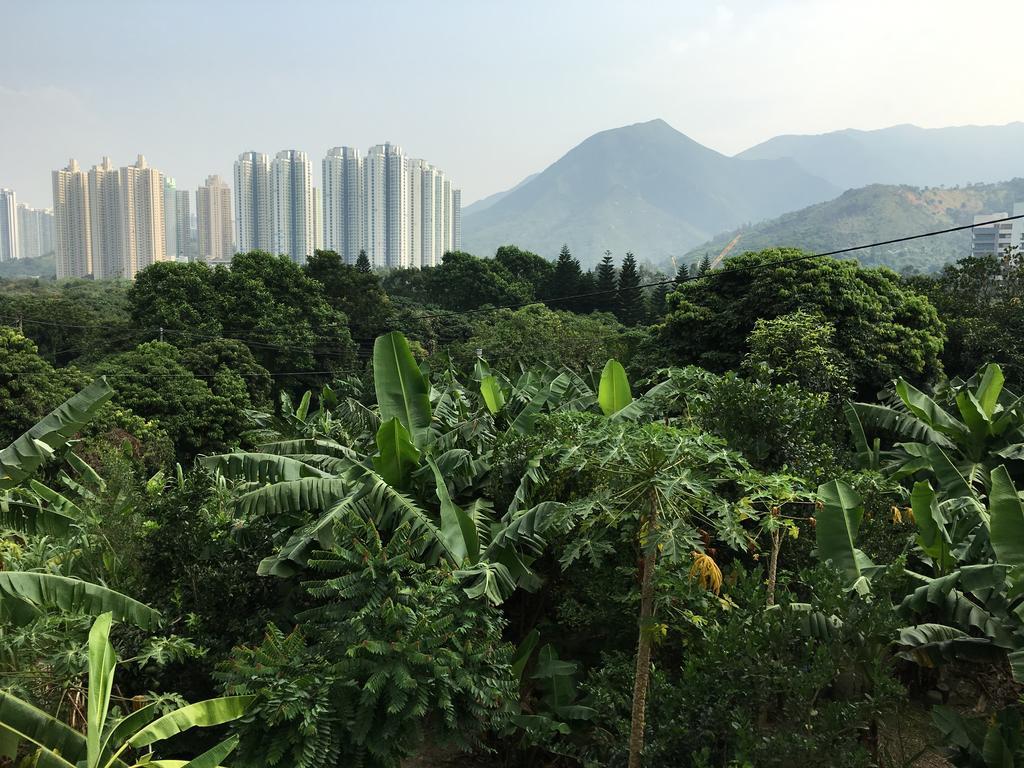 City Oasis Guesthouse Hongkong Exteriör bild
